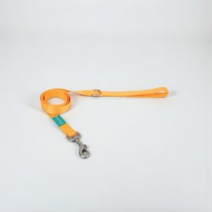 FREEDOG - BASIC NYLON LEASH - ORANGE - SMALL 15MM X 120CM