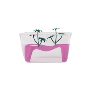AMTRA TURTLES TANK PROCIDA PINK 32.5*21*20 CM