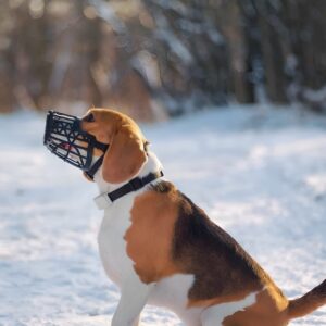 FLAMIMNGO DOG MUZZLE L