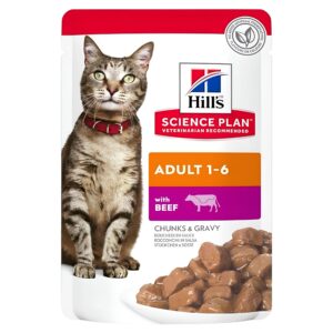 HILLS ADULT 1-6 BEEF 85G
