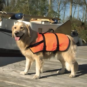 BEEZTEES LIFE AND SAFETY JACKET