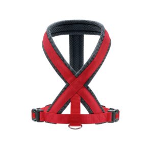 HUNTER HARNESS LONDON RED 52-62/ S-M