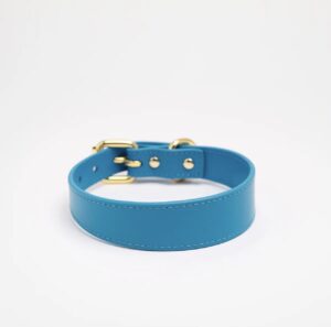 NEON BLUE DOG COLLAR THIN