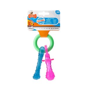 NYLABONE PUPPY PACIFIER BACON XS