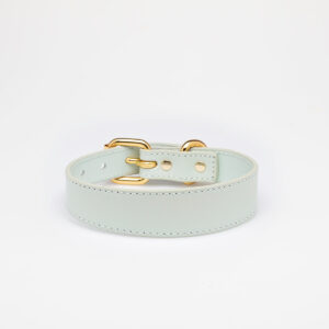 MINT DOG COLLAR THIN
