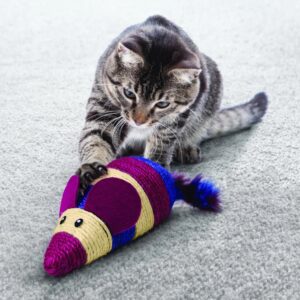 KONG® – CAT WRANGLER SCRATCH MOUSE