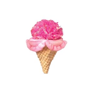 KONG CRACKLES SCOOPZ ASSORTED