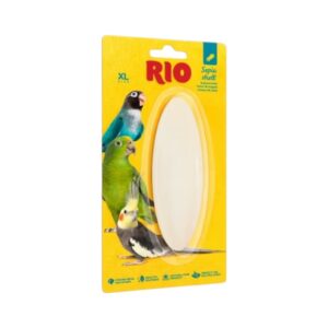 RIO SEPIA SHELL XLARGE 16 CM