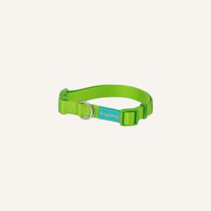 FREEDOG - BASIC NYLON COLLAR LIME - SMALL 15MM X 35/50CM