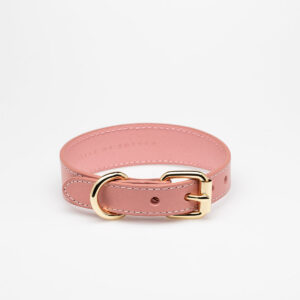 PINK DOG COLLAR
